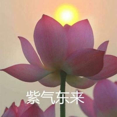 梦想神域手机版(暂未上线)v2.3.0 安卓版
